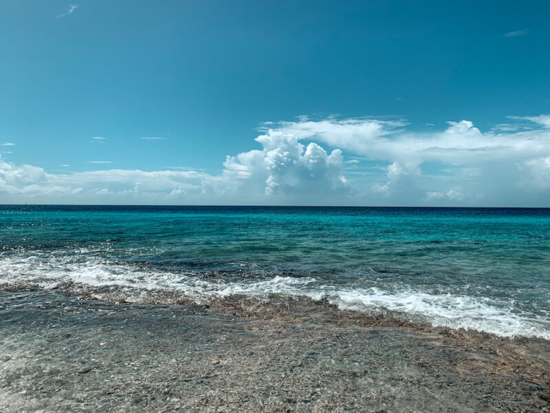 15 Best Hotels in Bonaire Top Places to Stay Stay to Wander