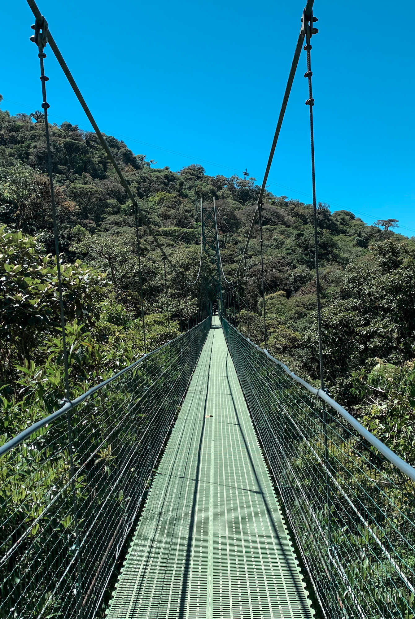 qu-ver-y-hacer-en-monteverde