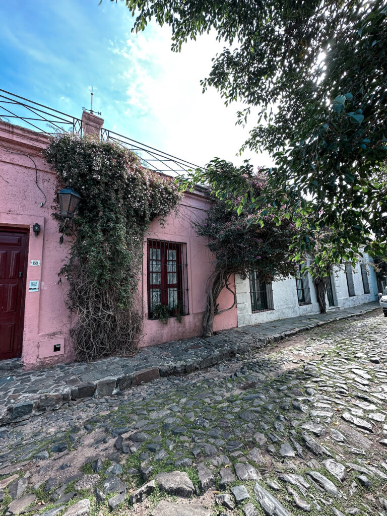 Where to Stay in Colonia Uruguay