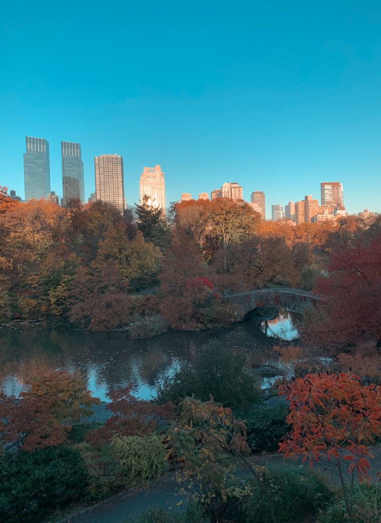 Best Luxury Hotels Near Central Park