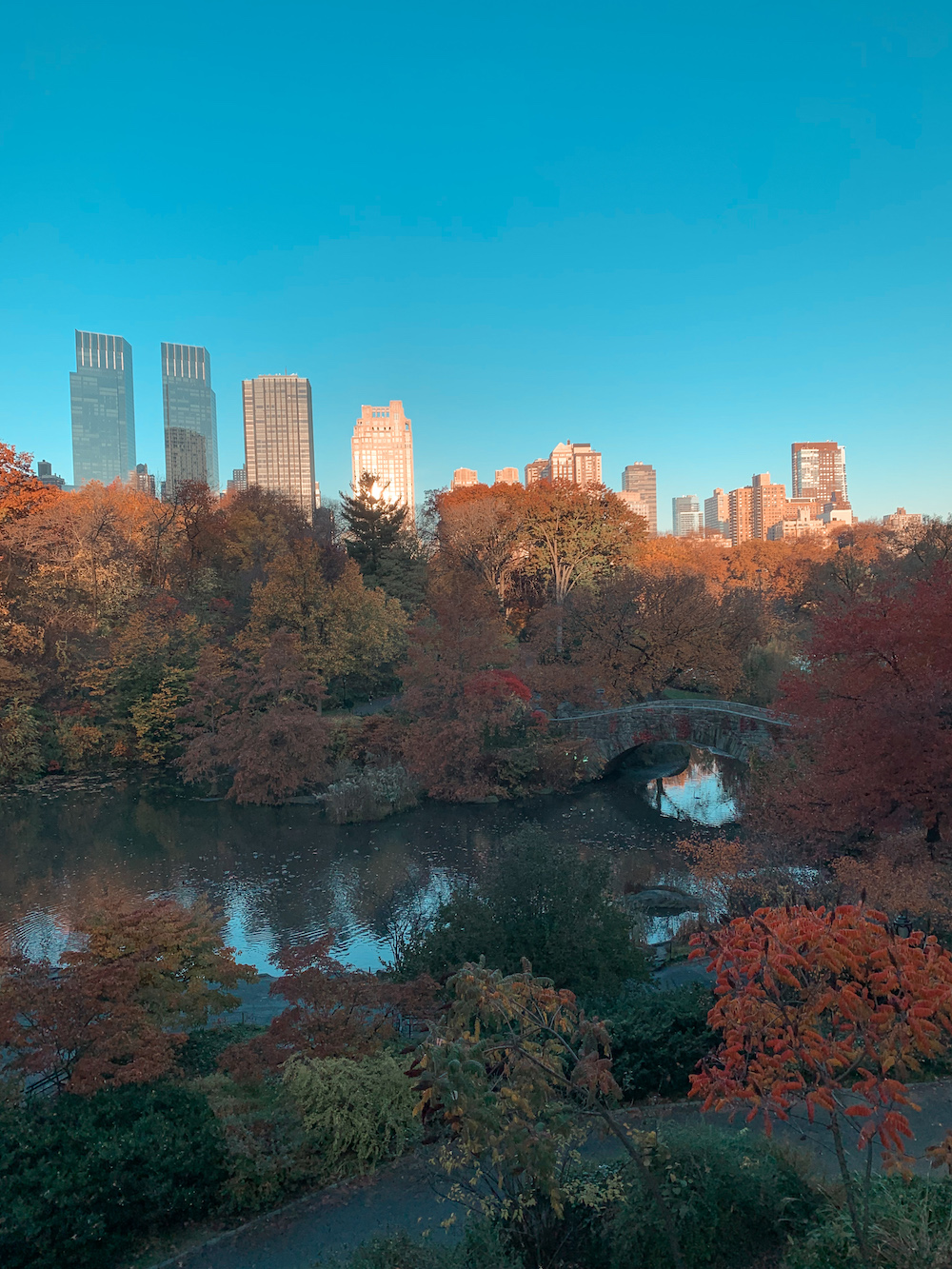 8 Best Luxury Hotels Near Central Park Stay To Wander