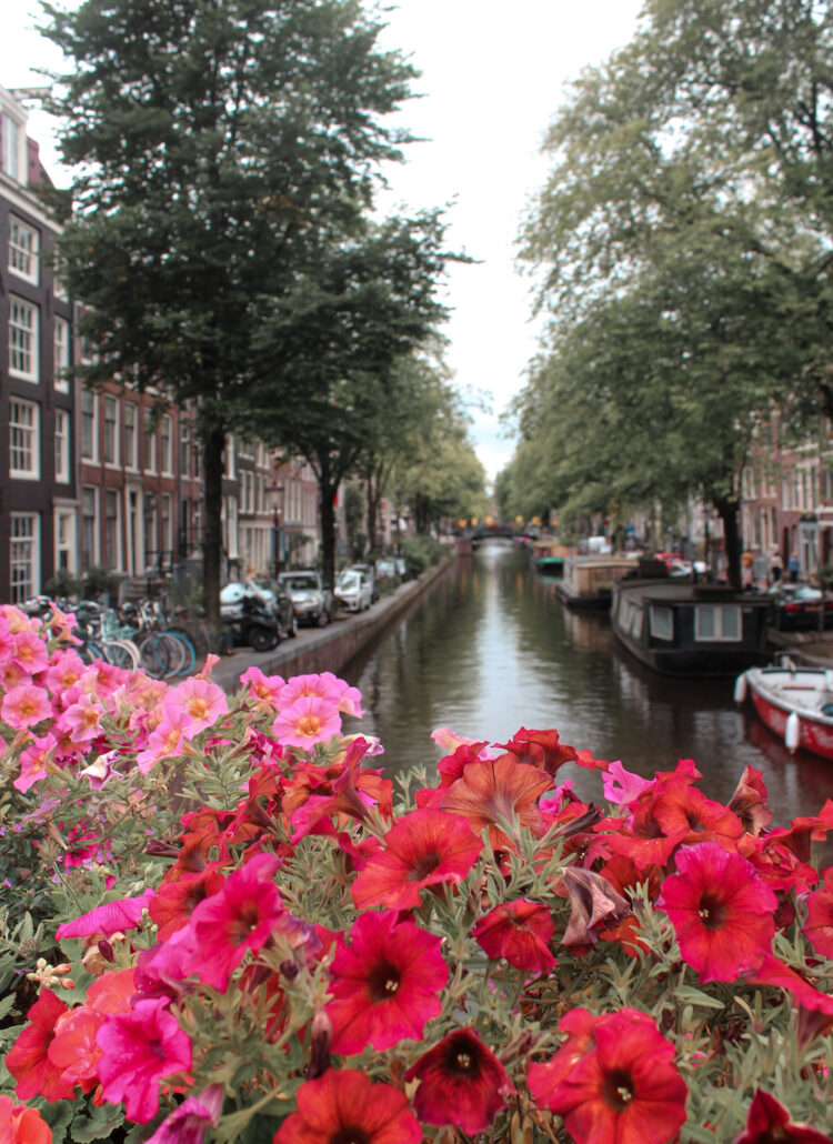 11 Best Luxury Hotels in Amsterdam, Netherlands