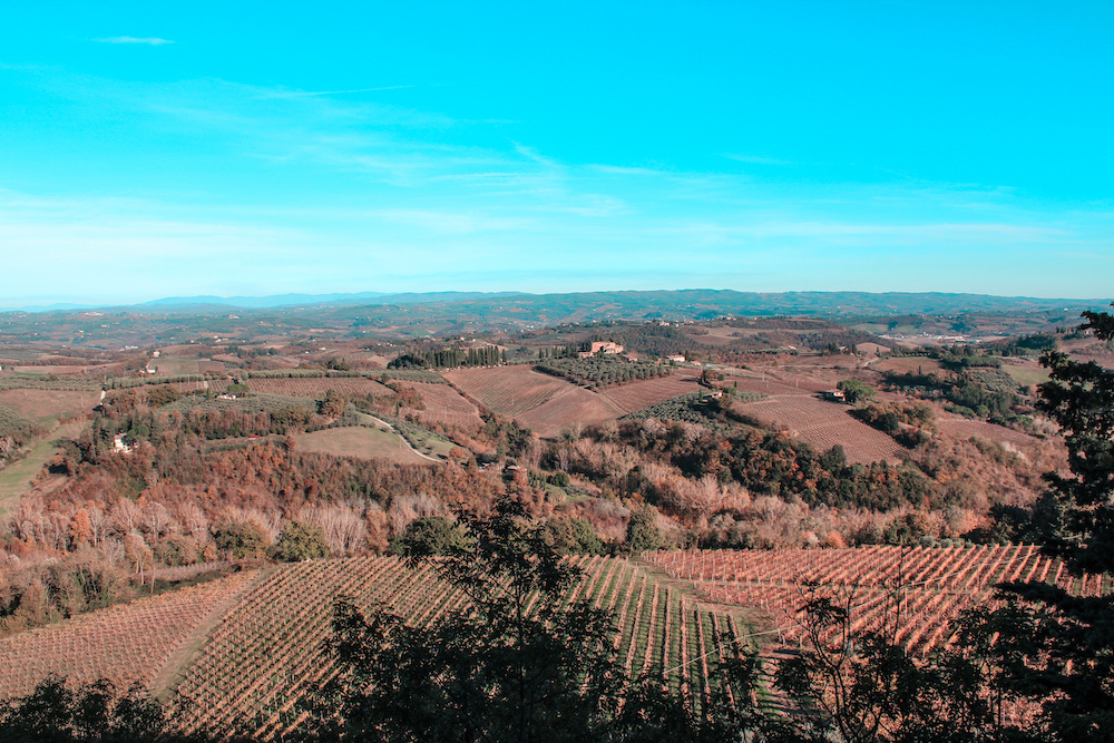 Day Trip to Tuscany