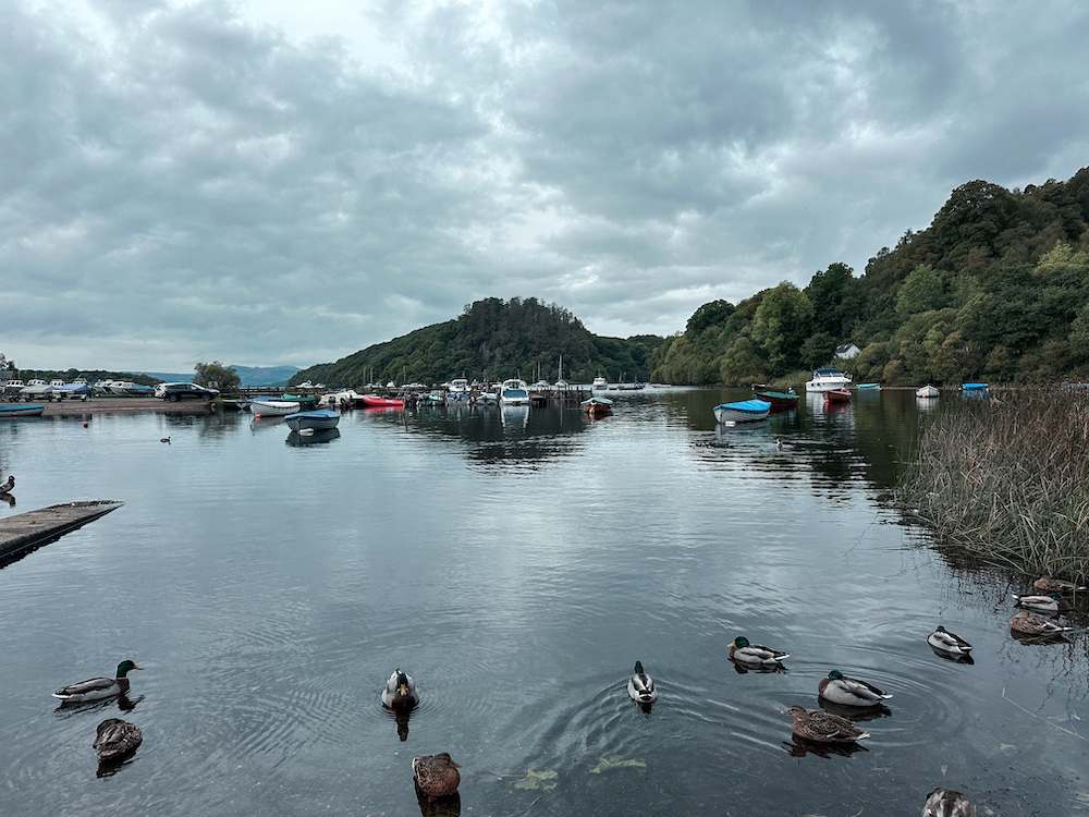 Hotels in Loch Lomond