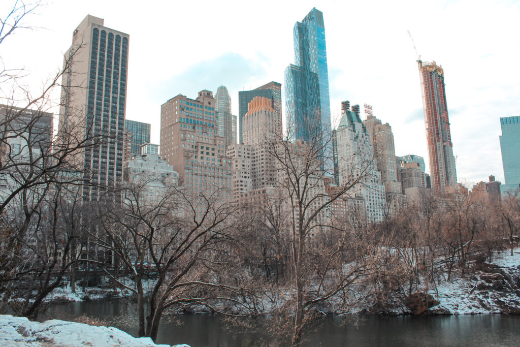 Central Park in Snow