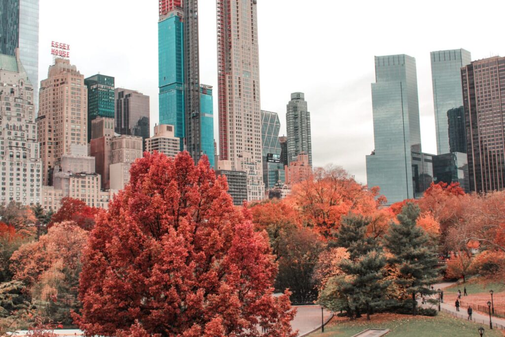 Fall in Central Park