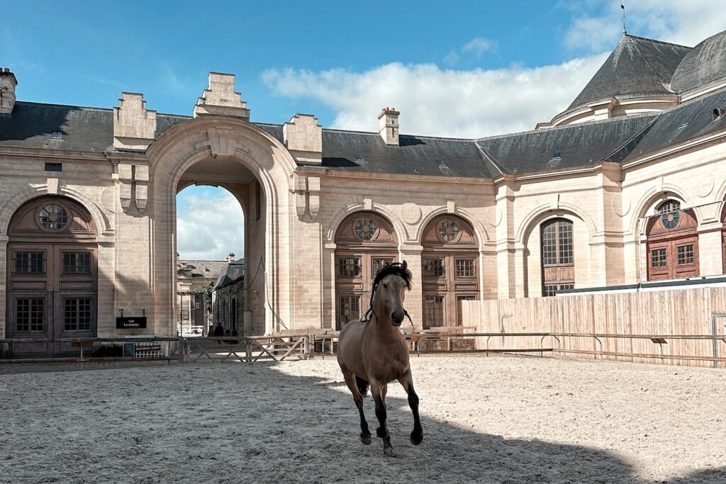 Great Stables at Chantilly