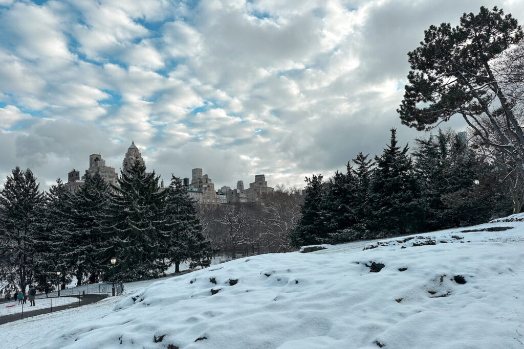 Snow in Central Park