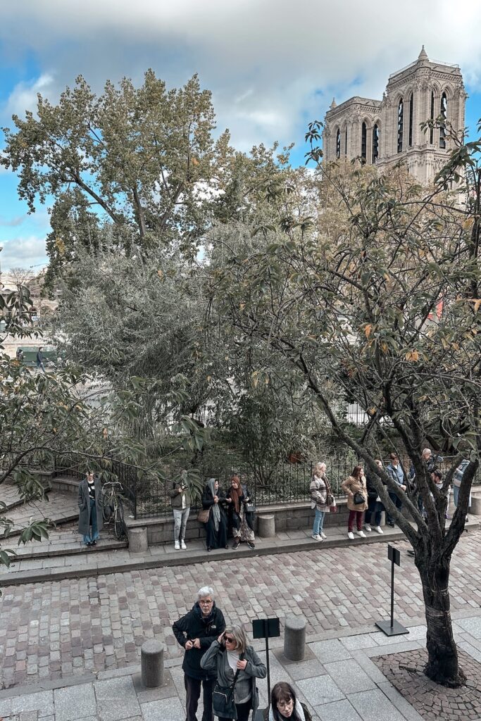 View of Notre Dame from Shakespeare and Company