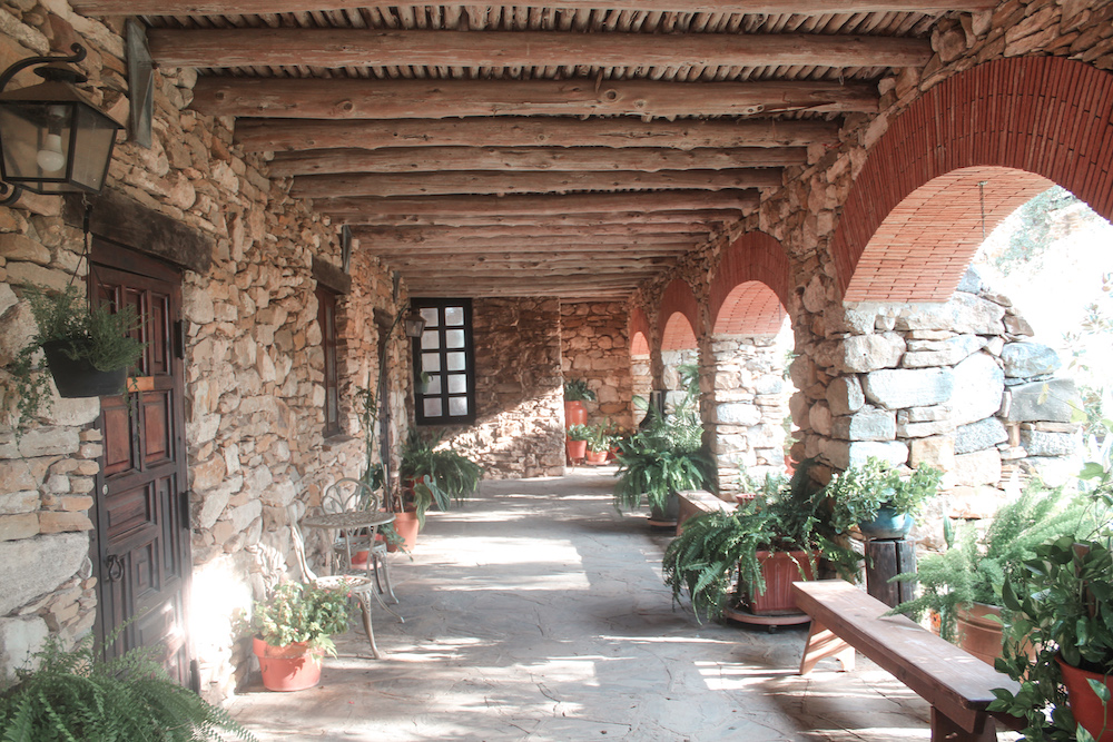 Best Things to Do in San Antonio