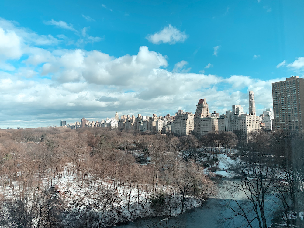 Snow in Central Park