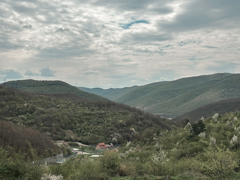 Pristina Bear Sanctuary
