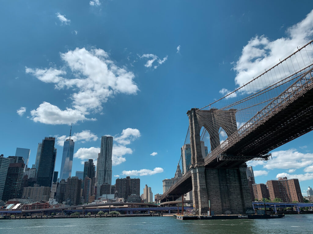 NYC Ferry View